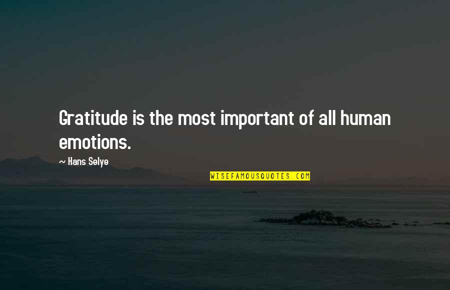 Jnudistance Quotes By Hans Selye: Gratitude is the most important of all human