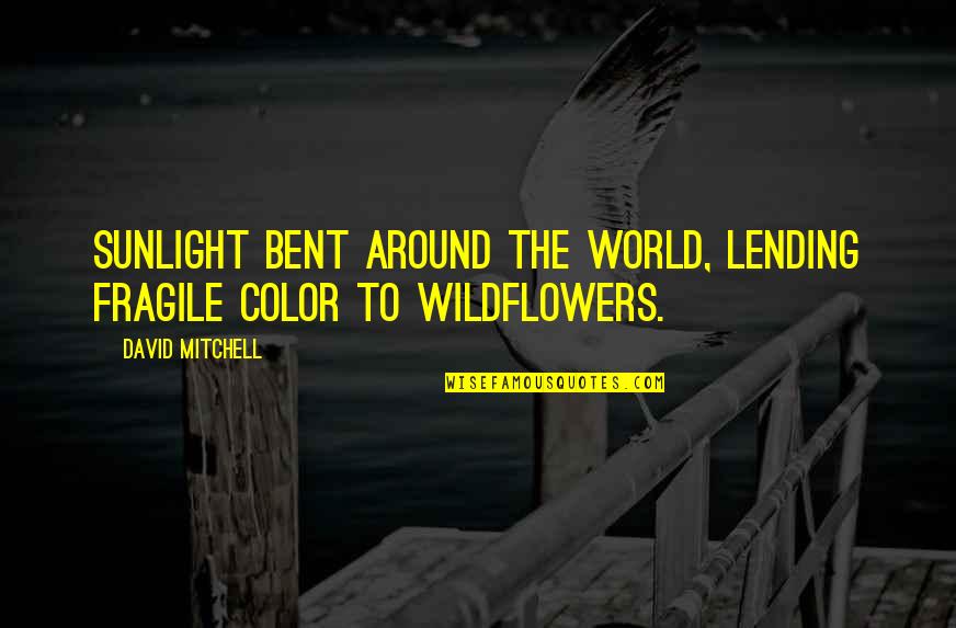 Jo Baka Funny Quotes By David Mitchell: Sunlight bent around the world, lending fragile color