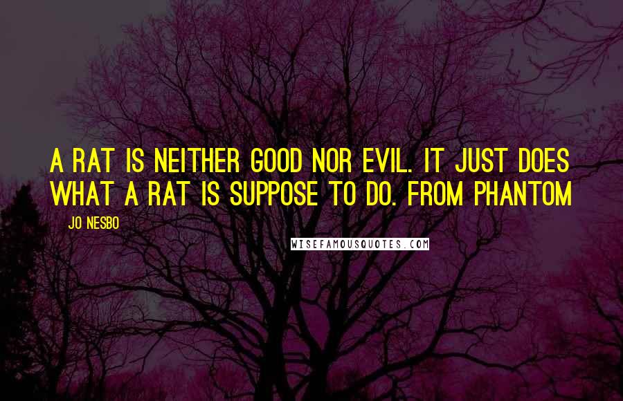 Jo Nesbo quotes: A rat is neither good nor evil. It just does what a rat is suppose to do. From Phantom