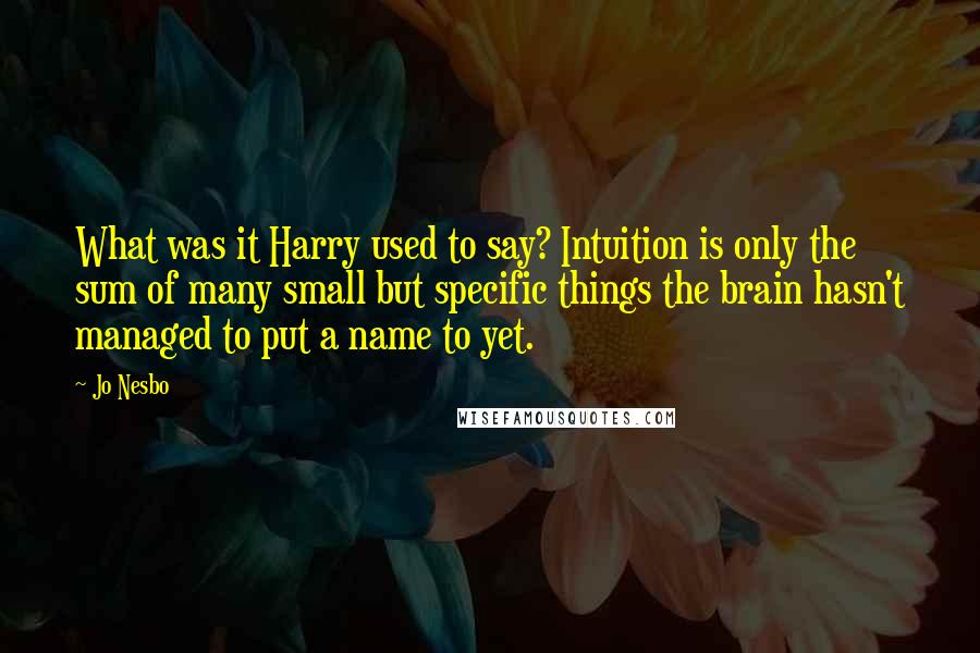 Jo Nesbo quotes: What was it Harry used to say? Intuition is only the sum of many small but specific things the brain hasn't managed to put a name to yet.