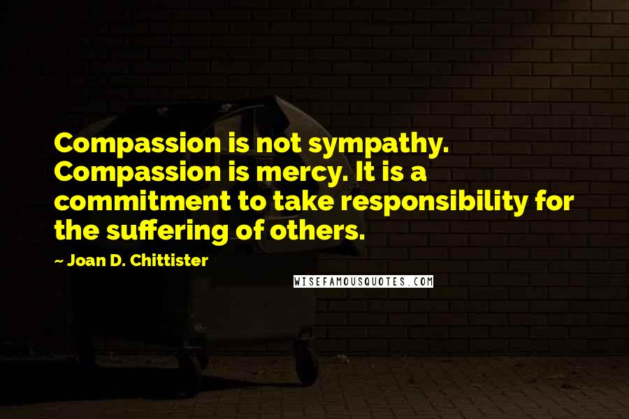 Joan D. Chittister quotes: Compassion is not sympathy. Compassion is mercy. It is a commitment to take responsibility for the suffering of others.