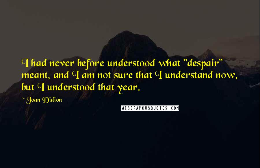 Joan Didion quotes: I had never before understood what "despair" meant, and I am not sure that I understand now, but I understood that year.