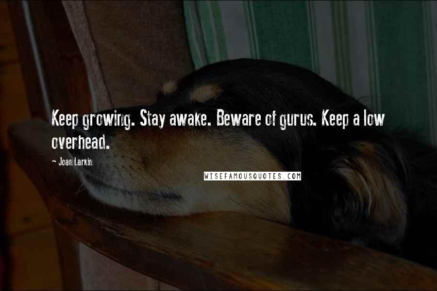 Joan Larkin quotes: Keep growing. Stay awake. Beware of gurus. Keep a low overhead.