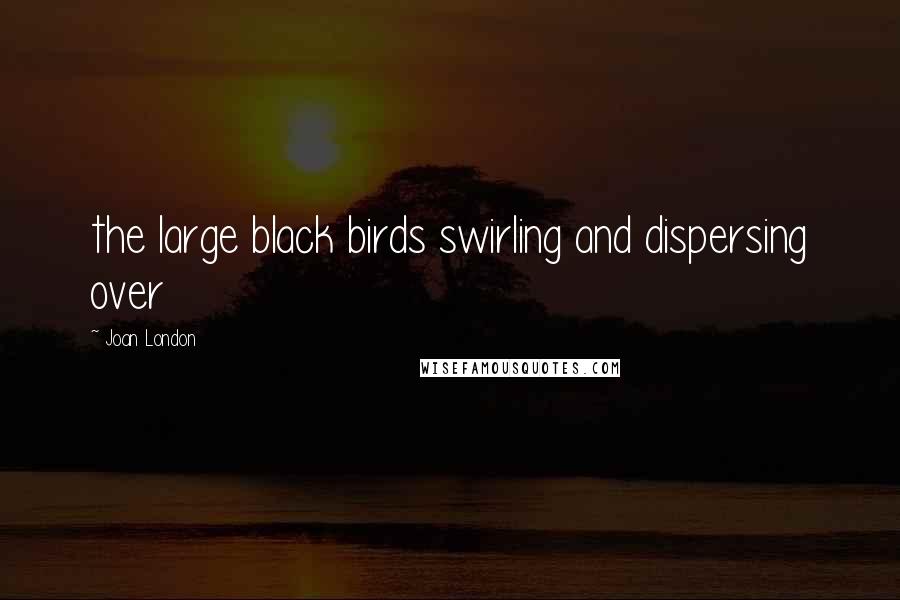 Joan London quotes: the large black birds swirling and dispersing over