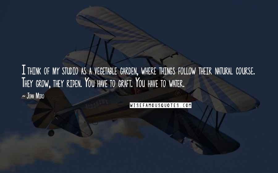 Joan Miro quotes: I think of my studio as a vegetable garden, where things follow their natural course. They grow, they ripen. You have to graft. You have to water.