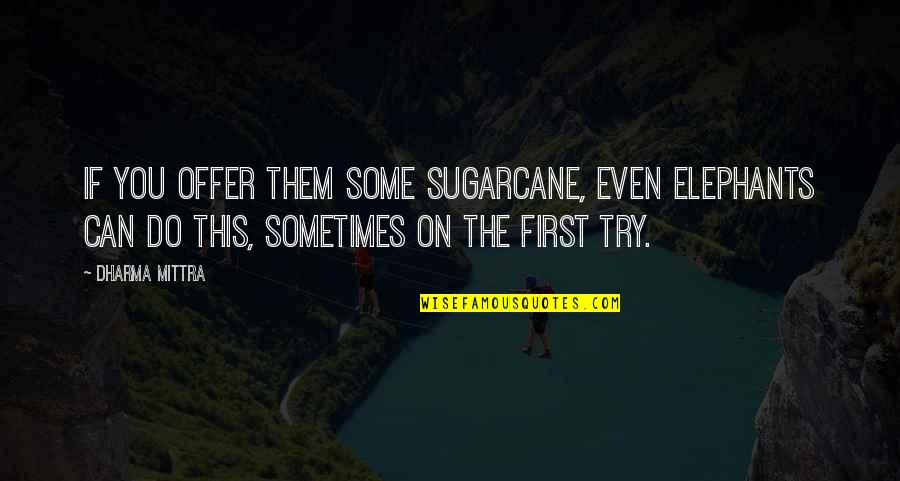 Joan Quote Quotes By Dharma Mittra: If you offer them some sugarcane, even elephants Joan Quote Quotes By Dharma Mittra: If you offer them some sugarcane, even elephants