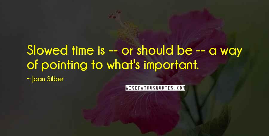 Joan Silber quotes: Slowed time is -- or should be -- a way of pointing to what's important.