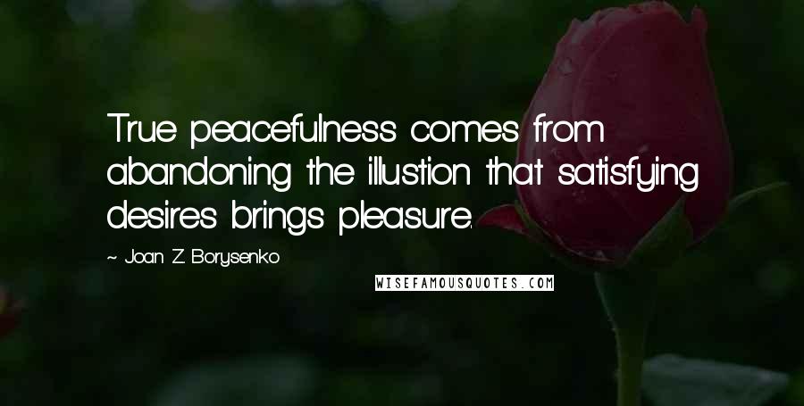 Joan Z. Borysenko quotes: True peacefulness comes from abandoning the illustion that satisfying desires brings pleasure.