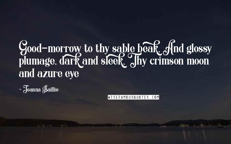 Joanna Baillie quotes: Good-morrow to thy sable beak, And glossy plumage, dark and sleek, Thy crimson moon and azure eye