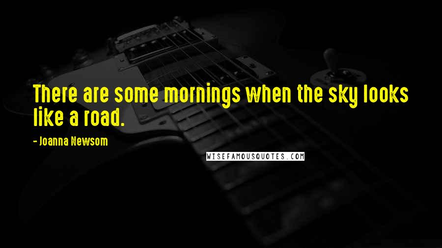 Joanna Newsom quotes: There are some mornings when the sky looks like a road.