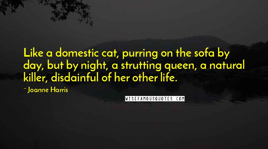 Joanne Harris quotes: Like a domestic cat, purring on the sofa by day, but by night, a strutting queen, a natural killer, disdainful of her other life.