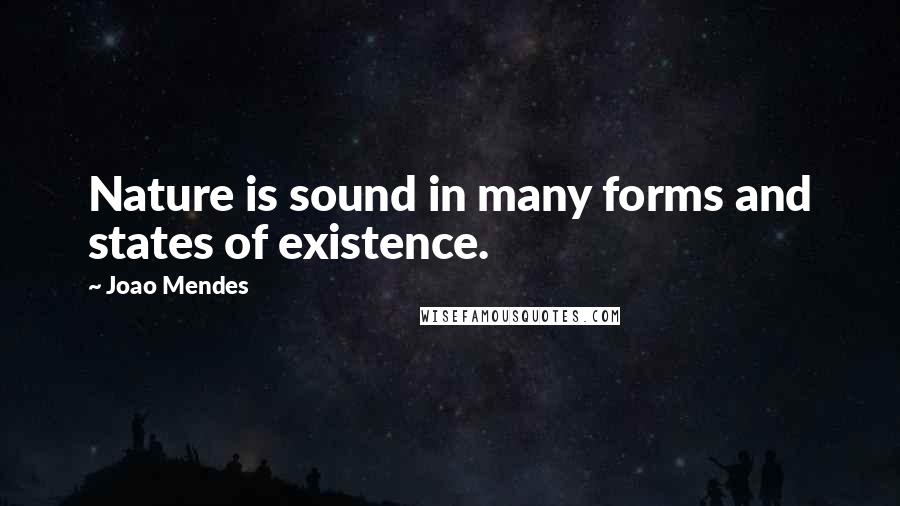 Joao Mendes quotes: Nature is sound in many forms and states of existence.