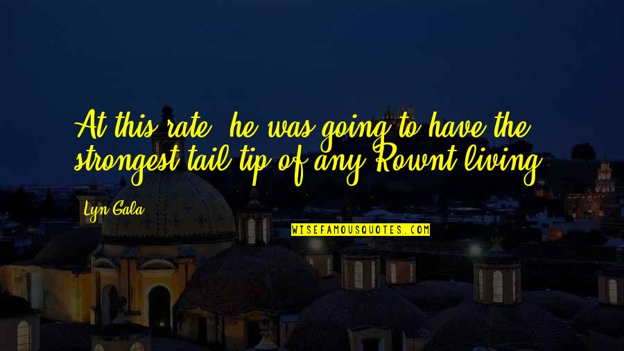 Joaquim Lopes Quotes By Lyn Gala: At this rate, he was going to have