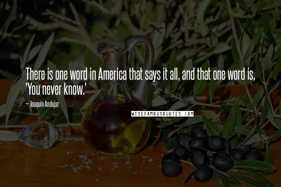 Joaquin Andujar quotes: There is one word in America that says it all, and that one word is, 'You never know.'