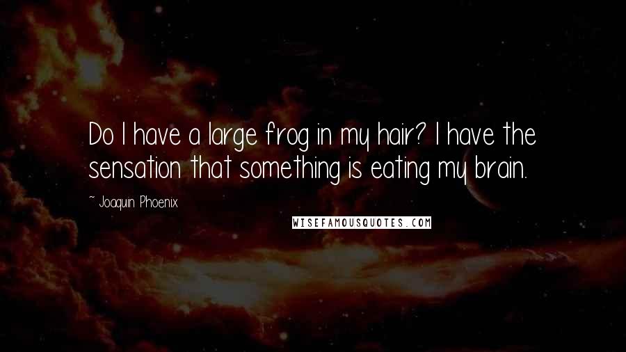 Joaquin Phoenix quotes: Do I have a large frog in my hair? I have the sensation that something is eating my brain.