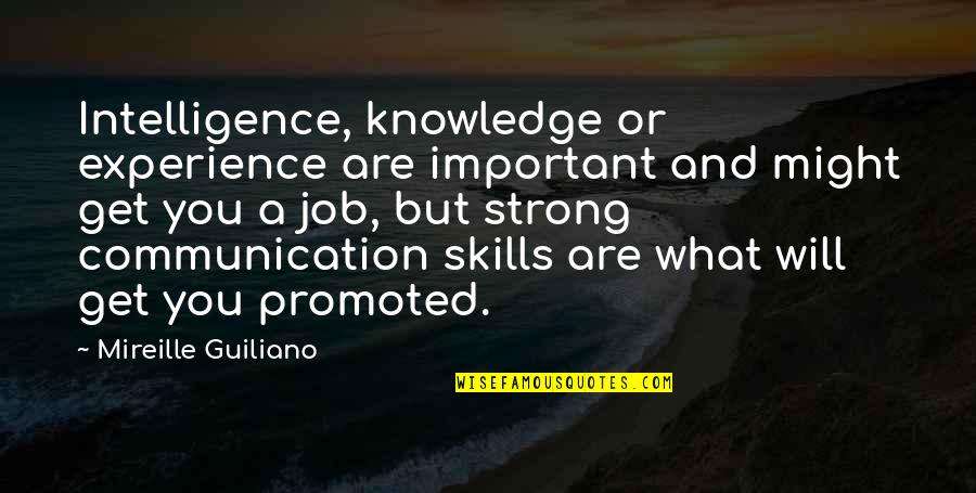 Job Experience Quotes By Mireille Guiliano: Intelligence, knowledge or experience are important and might