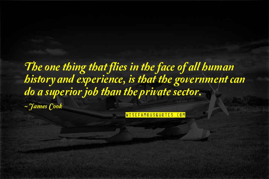 Job History Quotes By James Cook: The one thing that flies in the face