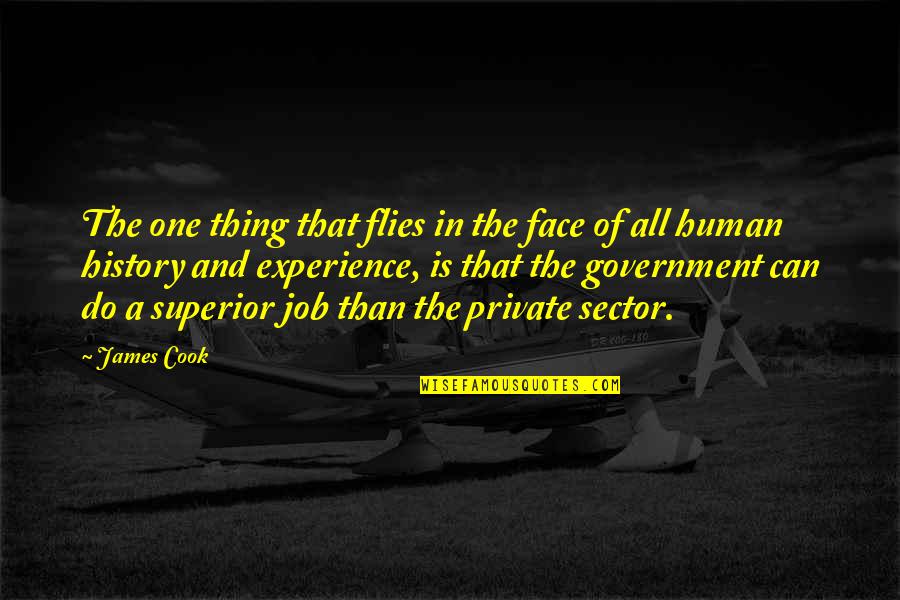 Job History Quotes By James Cook: The one thing that flies in the face Job History Quotes By James Cook: The one thing that flies in the face