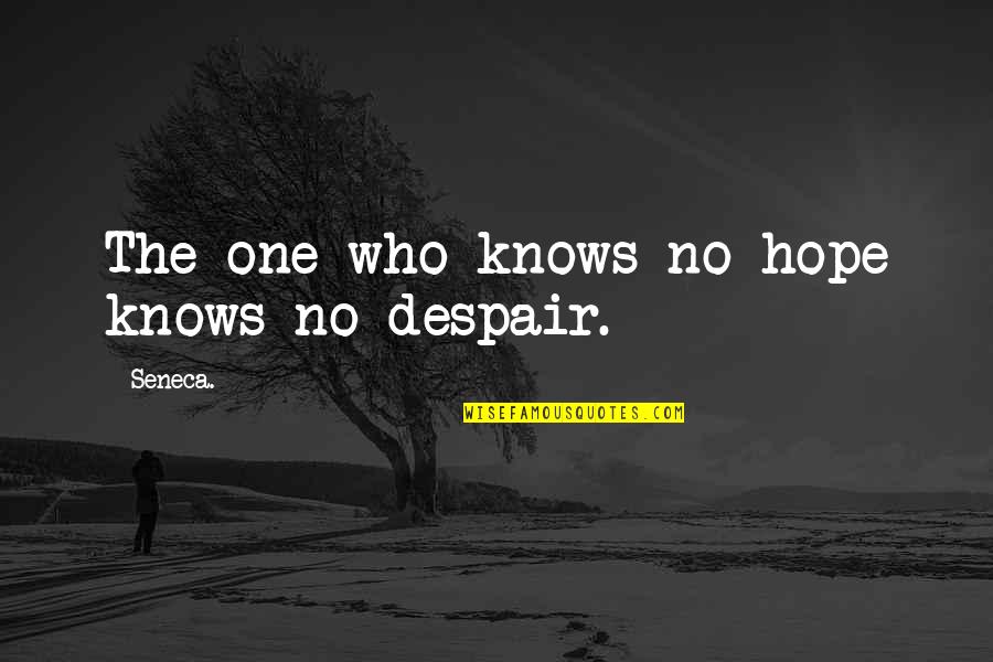 Job Requirements Quotes By Seneca.: The one who knows no hope knows no