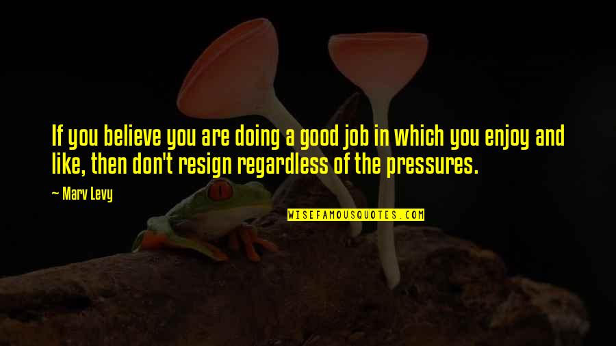Job Resign Quotes By Marv Levy: If you believe you are doing a good