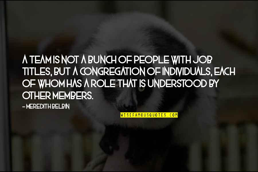 Job Role Quotes By Meredith Belbin: A team is not a bunch of people