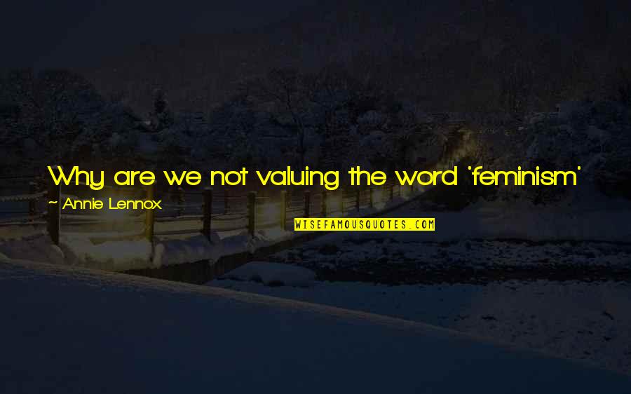 Job Search Networking Quotes By Annie Lennox: Why are we not valuing the word 'feminism'