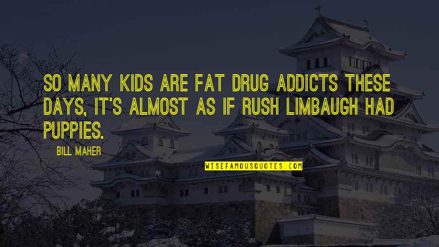 Job Search Networking Quotes By Bill Maher: So many kids are fat drug addicts these