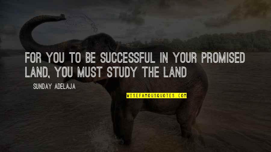 Job Success Quotes By Sunday Adelaja: For you to be successful in your promised