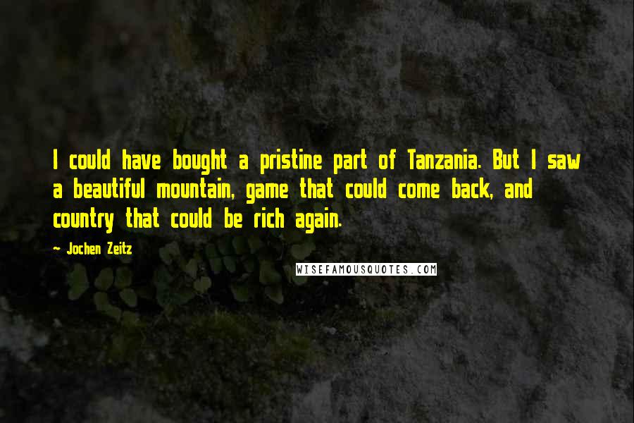 Jochen Zeitz quotes: I could have bought a pristine part of Tanzania. But I saw a beautiful mountain, game that could come back, and country that could be rich again.