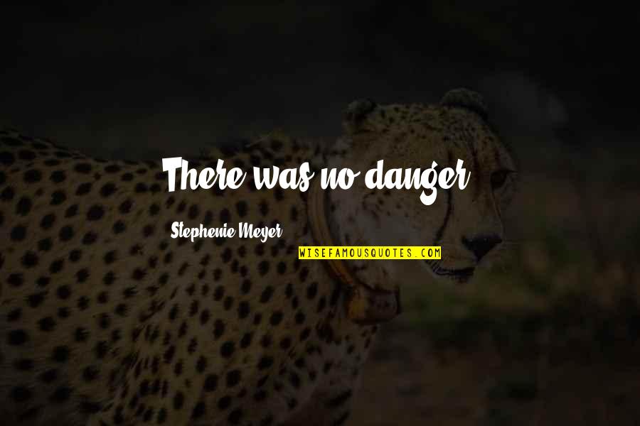 Jochnick Foundation Quotes By Stephenie Meyer: There was no danger. Jochnick Foundation Quotes By Stephenie Meyer: There was no danger.