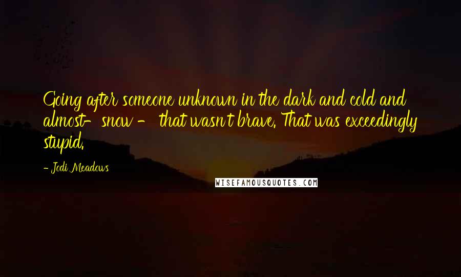 Jodi Meadows quotes: Going after someone unknown in the dark and cold and almost-snow - that wasn't brave. That was exceedingly stupid.