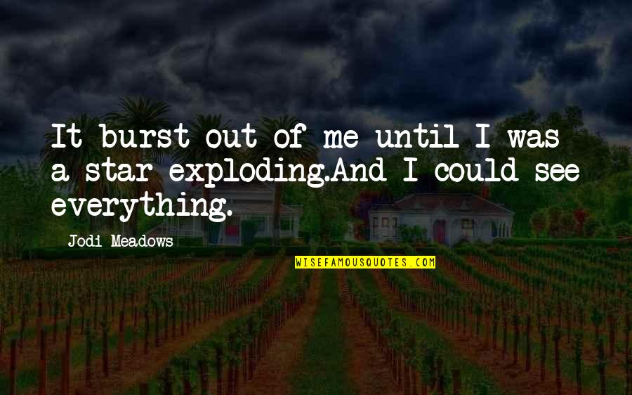Jodi Meadows Quotes By Jodi Meadows: It burst out of me until I was