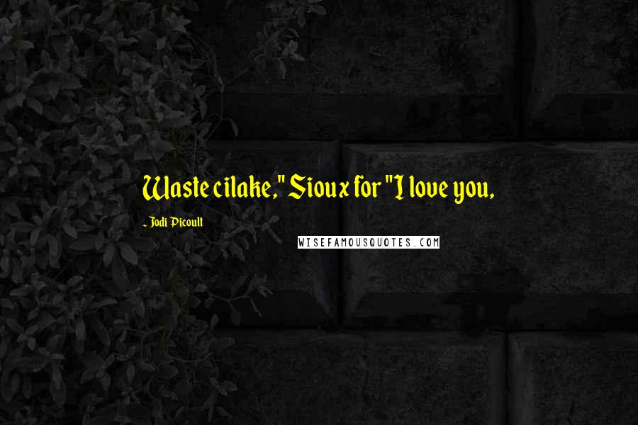 Jodi Picoult quotes: Waste cilake," Sioux for "I love you,