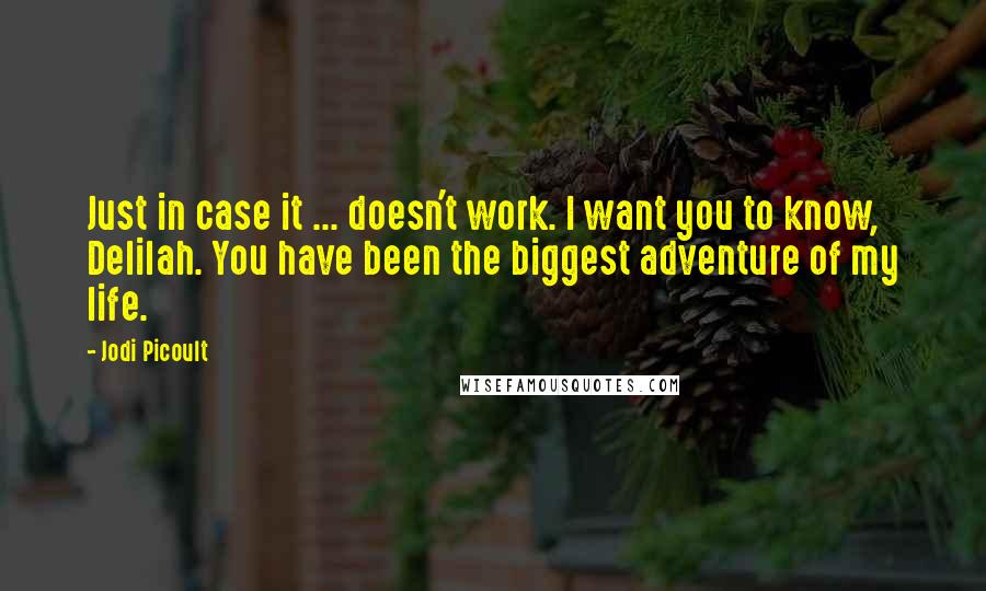 Jodi Picoult quotes: Just in case it ... doesn't work. I want you to know, Delilah. You have been the biggest adventure of my life.