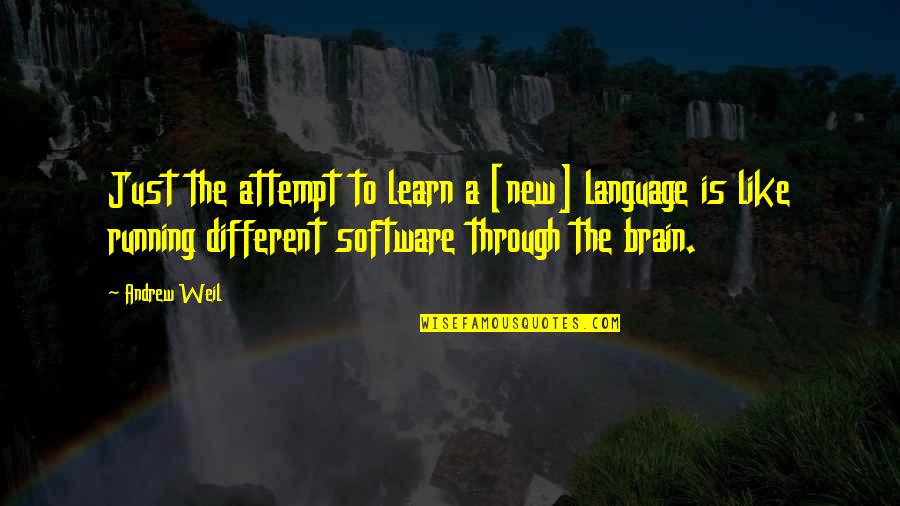 Jodorowsky Psychomagic Quotes By Andrew Weil: Just the attempt to learn a [new] language