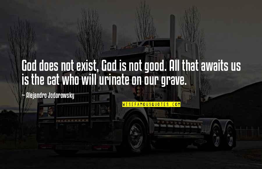 Jodorowsky Quotes By Alejandro Jodorowsky: God does not exist, God is not good.