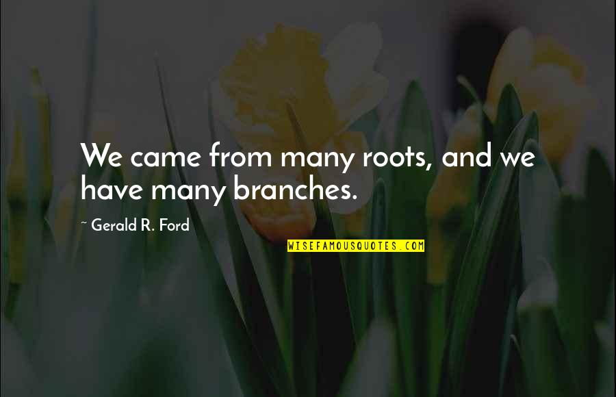 Jody Breeze Quotes By Gerald R. Ford: We came from many roots, and we have