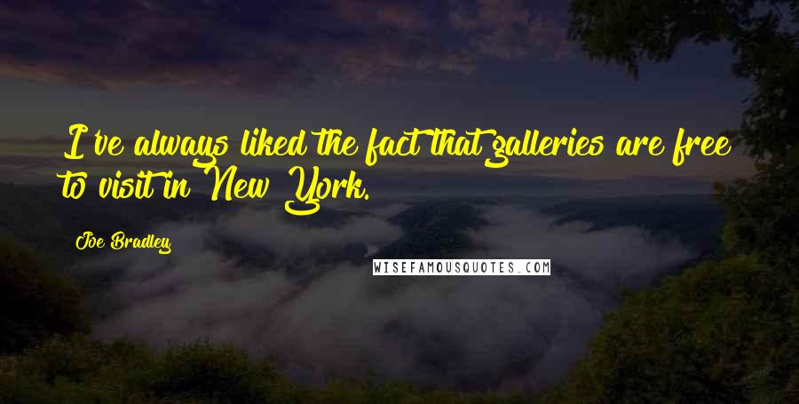 Joe Bradley quotes: I've always liked the fact that galleries are free to visit in New York.