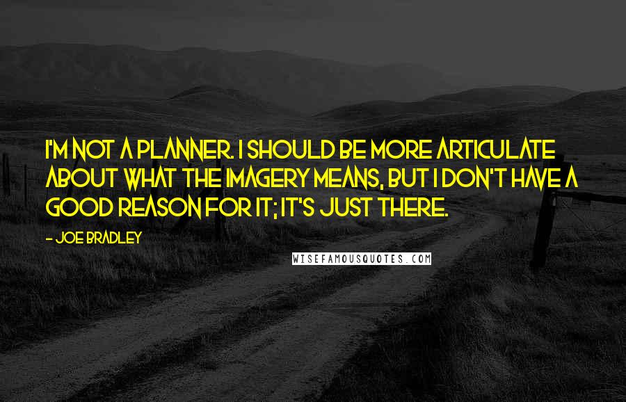 Joe Bradley quotes: I'm not a planner. I should be more articulate about what the imagery means, but I don't have a good reason for it; it's just there.