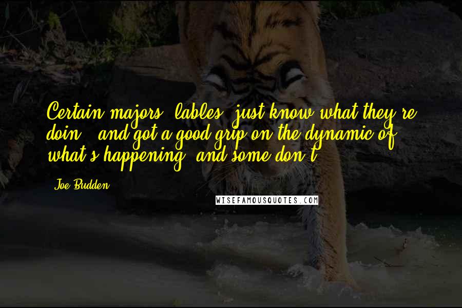 Joe Budden quotes: Certain majors [lables] just know what they're doin', and got a good grip on the dynamic of what's happening, and some don't.