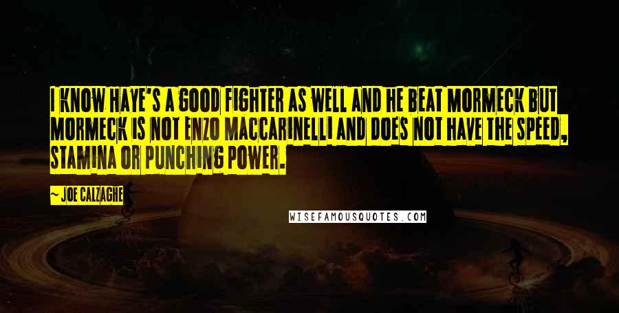 Joe Calzaghe quotes: I know Haye's a good fighter as well and he beat Mormeck but Mormeck is not Enzo Maccarinelli and does not have the speed, stamina or punching power.