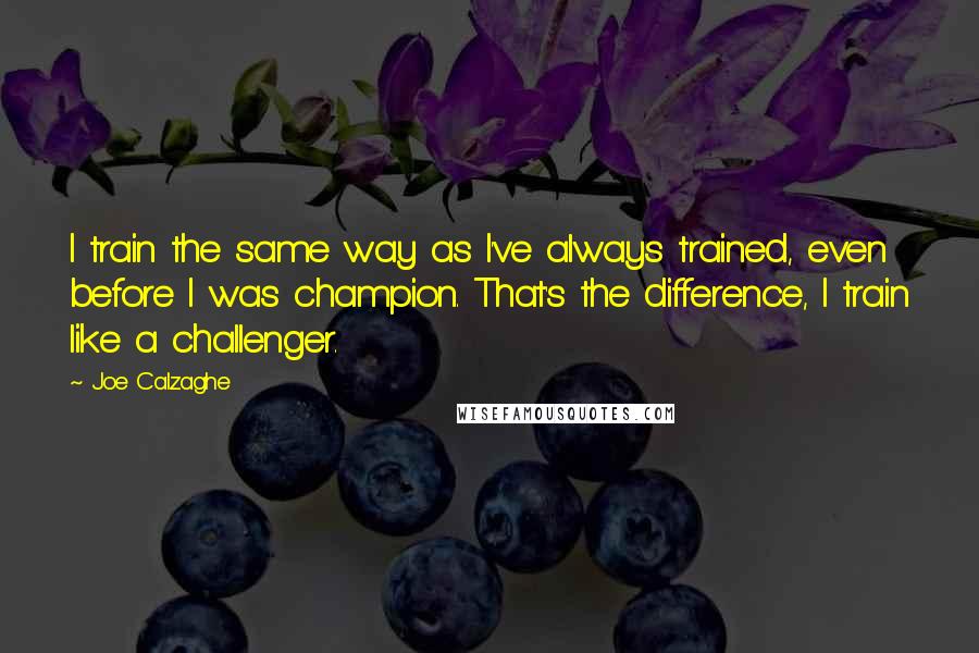 Joe Calzaghe quotes: I train the same way as I've always trained, even before I was champion. That's the difference, I train like a challenger.