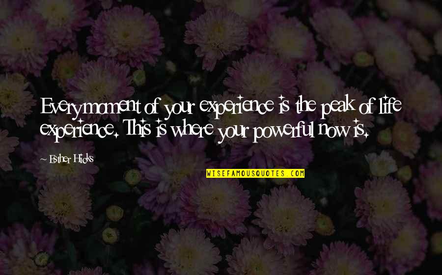 Joe Dispenza Becoming Supernatural Quotes By Esther Hicks: Every moment of your experience is the peak Joe Dispenza Becoming Supernatural Quotes By Esther Hicks: Every moment of your experience is the peak