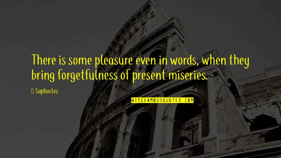 Joe Dominguez Quotes By Sophocles: There is some pleasure even in words, when