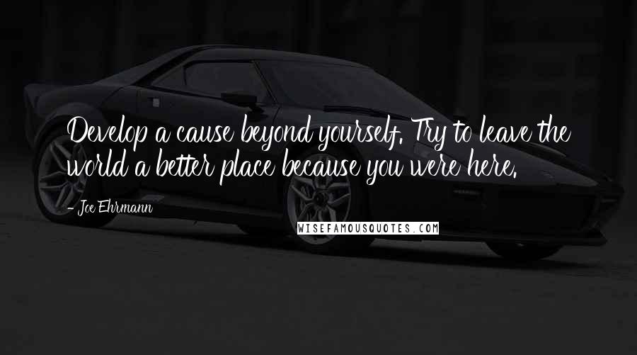 Joe Ehrmann quotes: Develop a cause beyond yourself. Try to leave the world a better place because you were here.