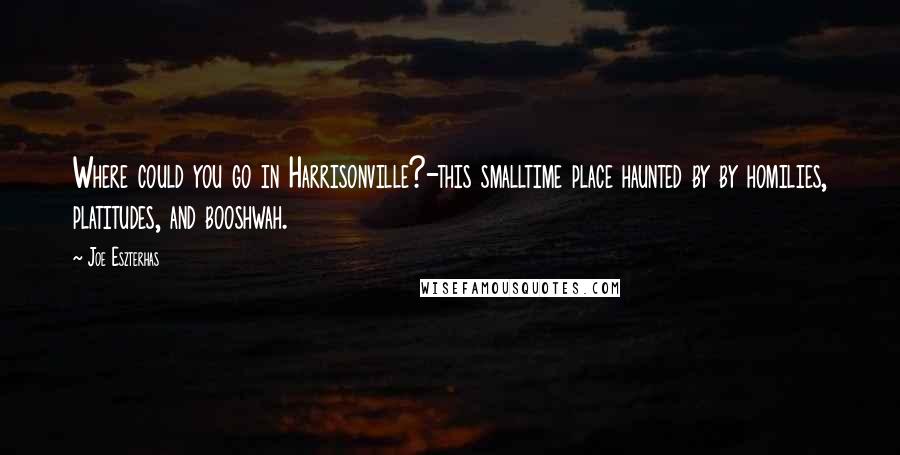 Joe Eszterhas quotes: Where could you go in Harrisonville?-this smalltime place haunted by by homilies, platitudes, and booshwah. Joe Eszterhas quotes: Where could you go in Harrisonville?-this smalltime place haunted by by homilies, platitudes, and booshwah.