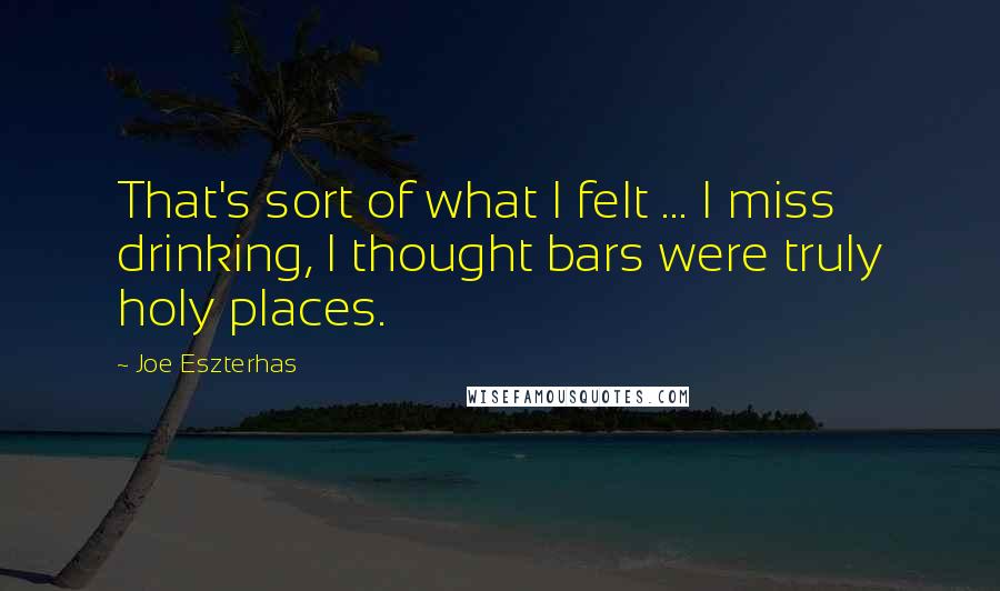 Joe Eszterhas quotes: That's sort of what I felt ... I miss drinking, I thought bars were truly holy places.