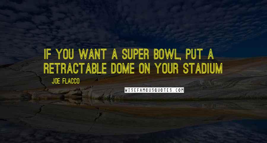 Joe Flacco quotes: If you want a Super Bowl, put a retractable dome on your stadium