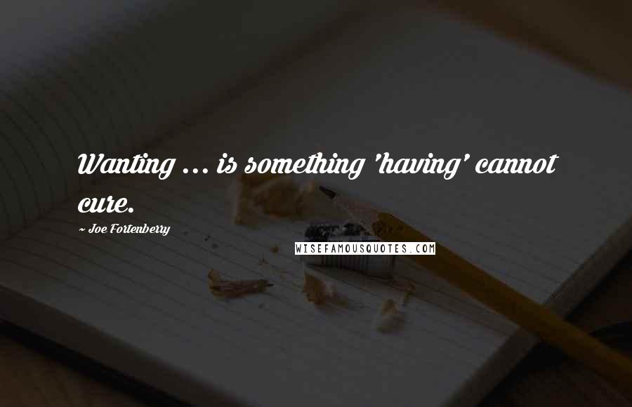 Joe Fortenberry quotes: Wanting ... is something 'having' cannot cure.