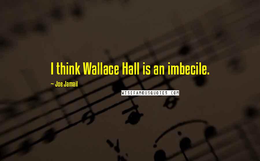 Joe Jamail quotes: I think Wallace Hall is an imbecile.